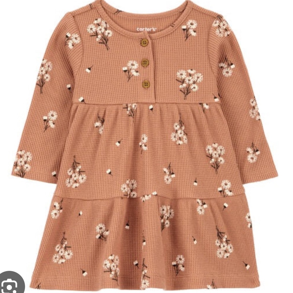 Carter's Brown Floral Dress w/ Bloomers, 18M